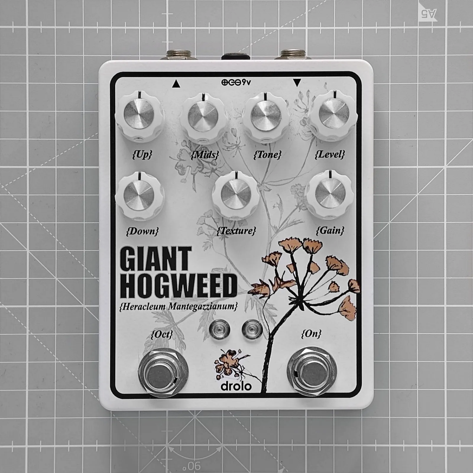 GIANT HOGWEED